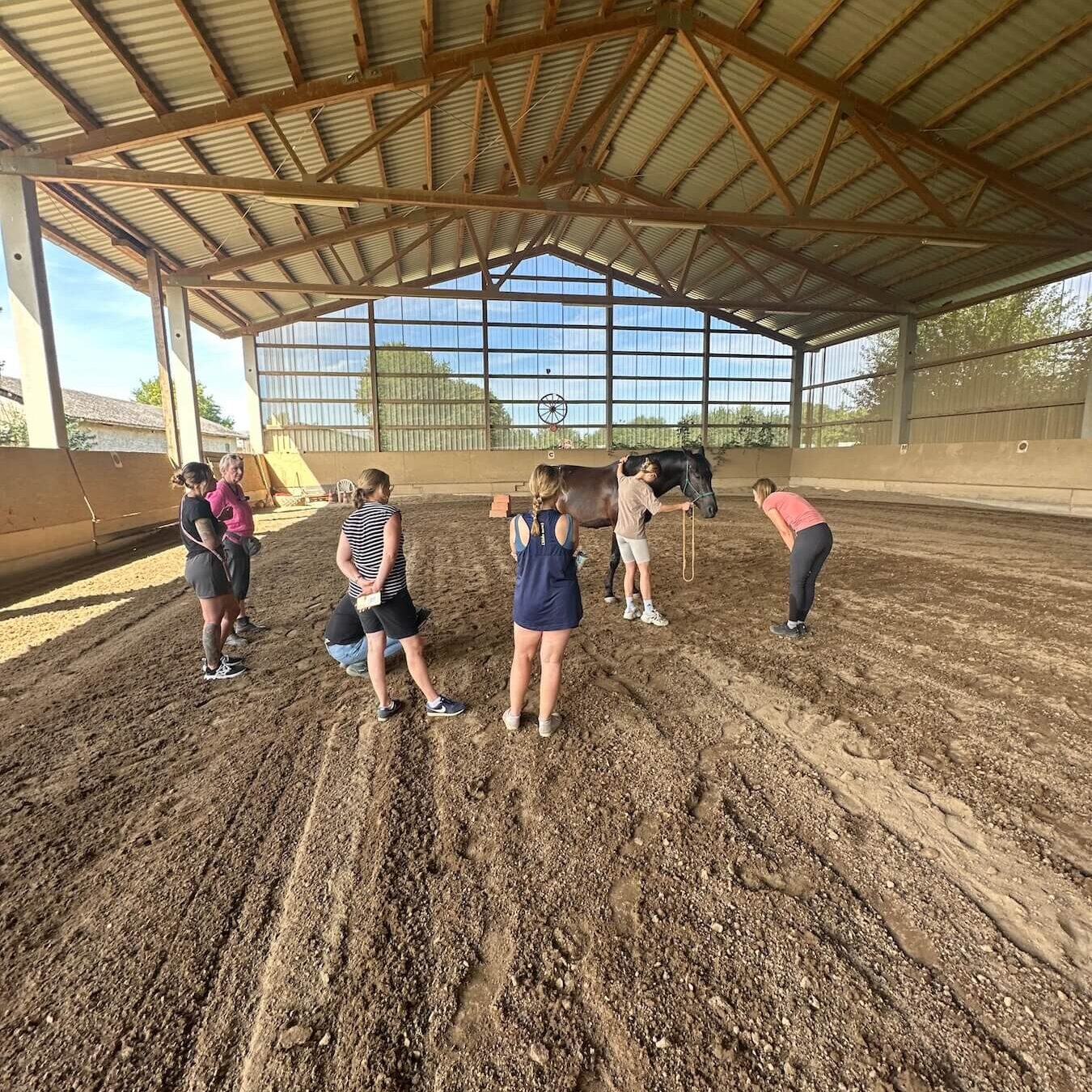 Reithalle Sulzbach Taunus